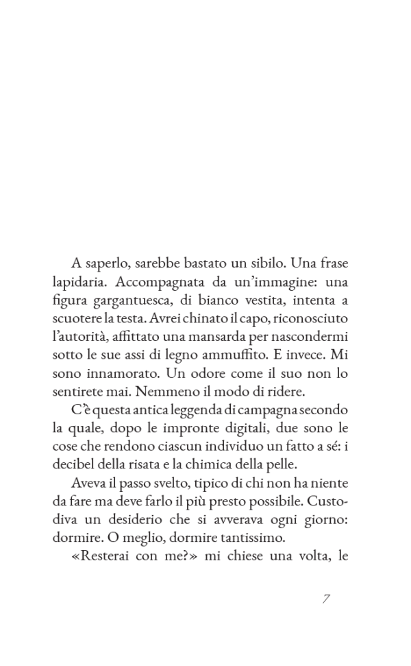 Come si spazzola un leone - immagine 3