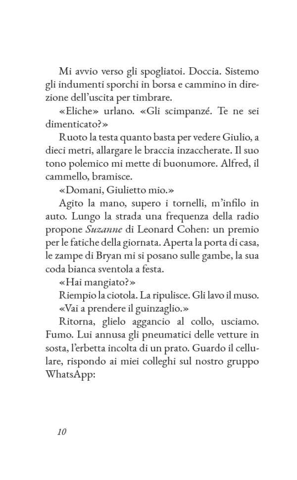 Come si spazzola un leone - immagine 6