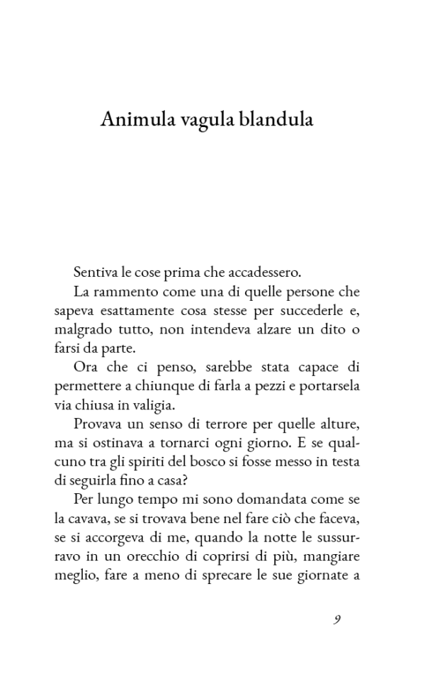 Alla cortese attenzione della signorina Casamandrei - immagine 3