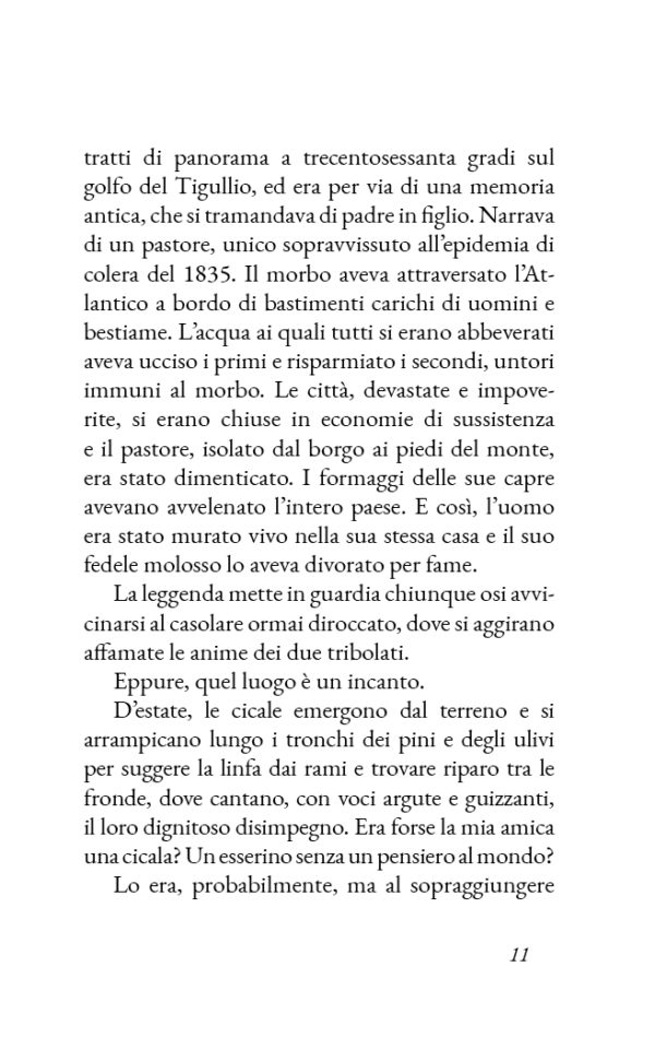 Alla cortese attenzione della signorina Casamandrei - immagine 5