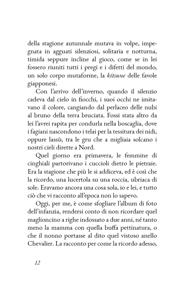 Alla cortese attenzione della signorina Casamandrei - immagine 6