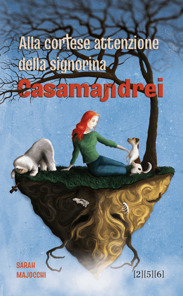 Alla cortese attenzione della signorina Casamandrei, copertina