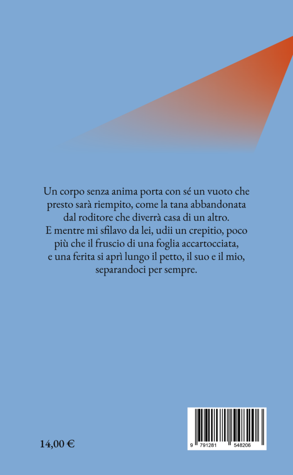 Alla cortese attenzione della signorina Casamandrei, quarta di copertina